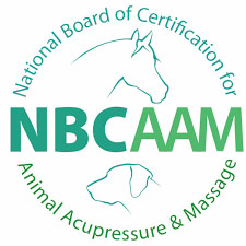 NBCAAM